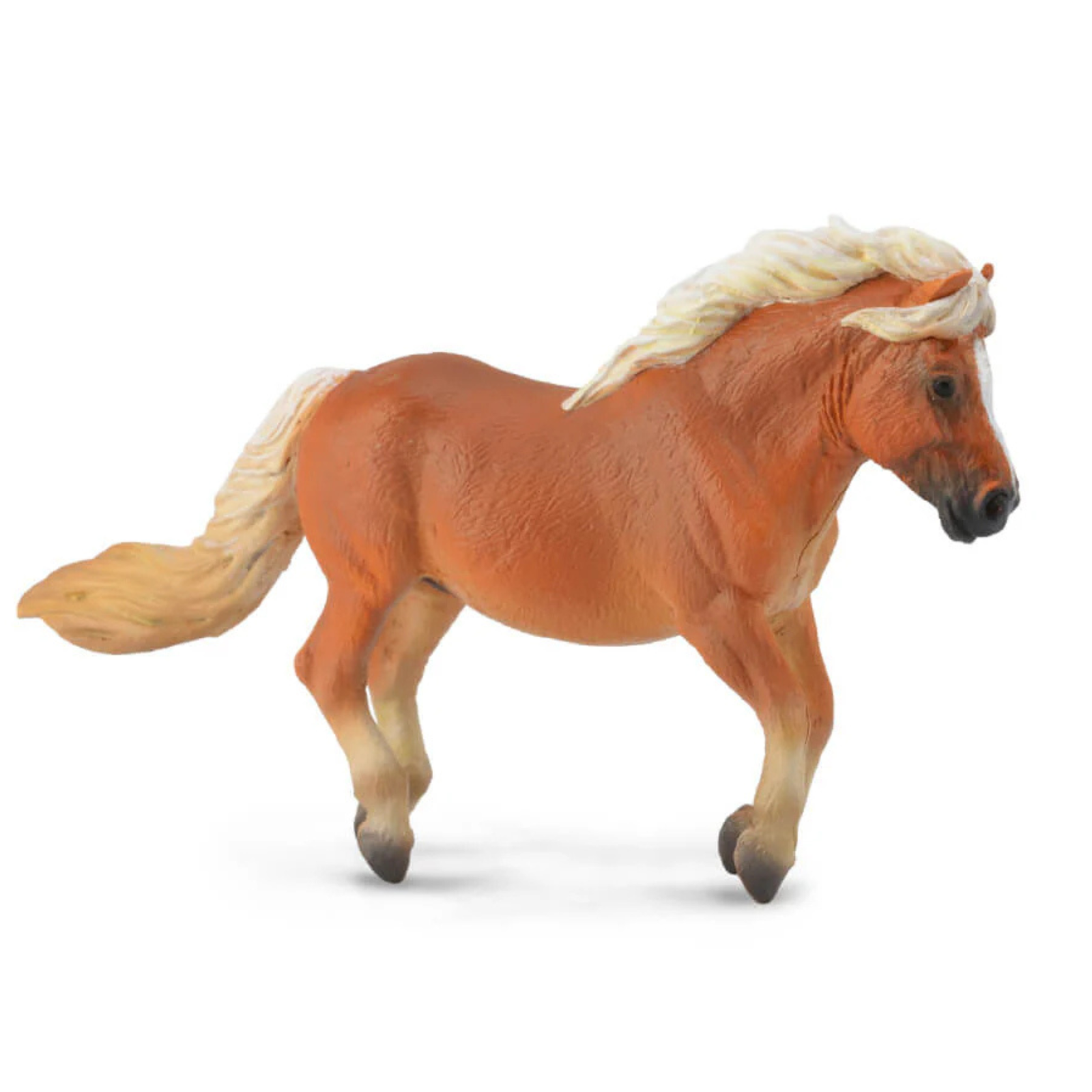 Collecta Shetland Pony