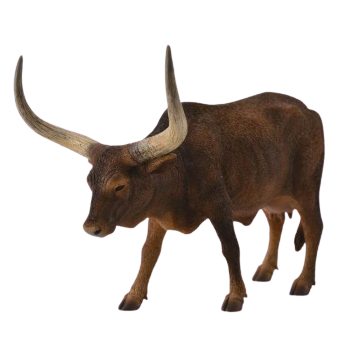 Collecta Ankole-Watusi Cow. Brown bull with large horns on a white background