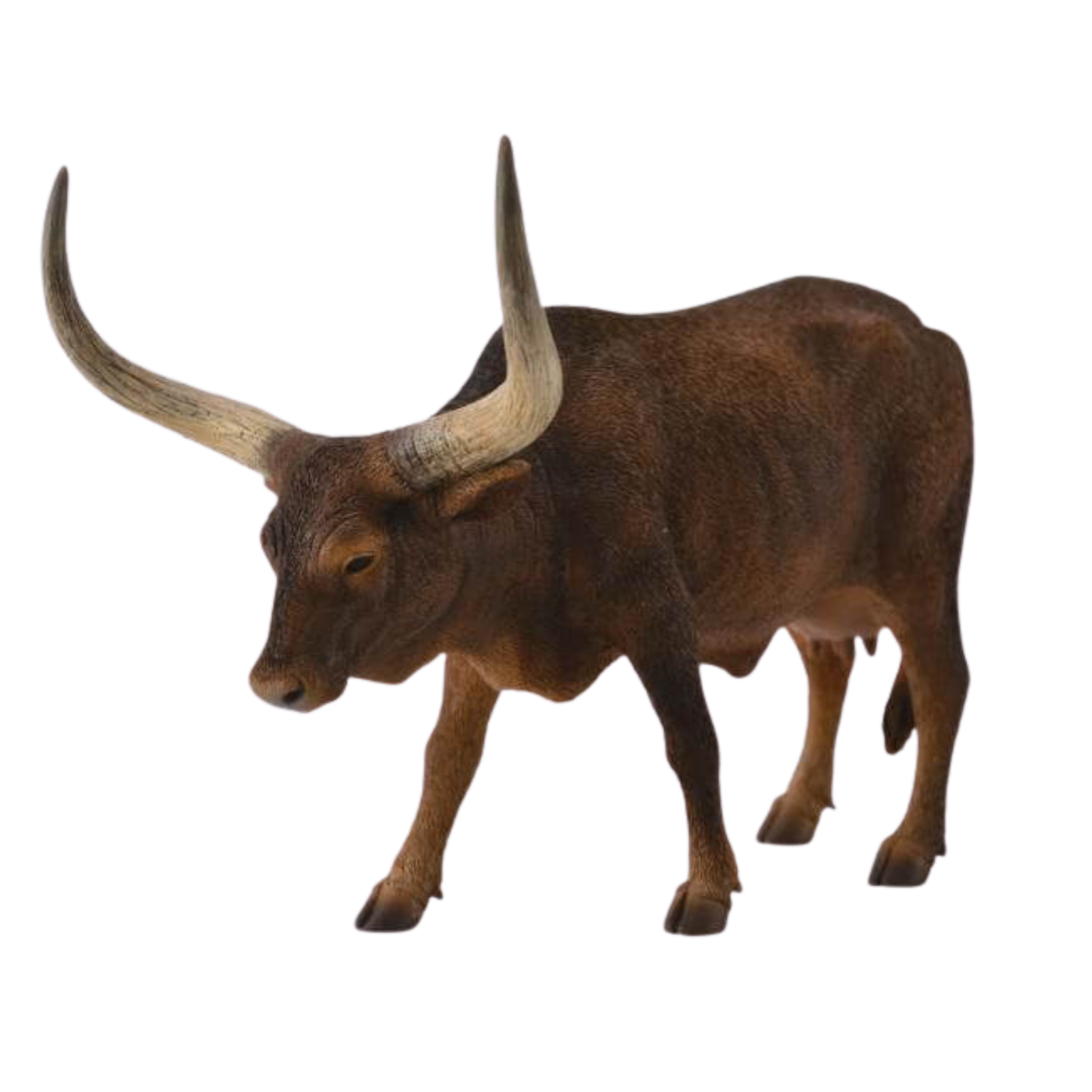 Collecta Ankole-Watusi Cow. Brown bull with large horns on a white background