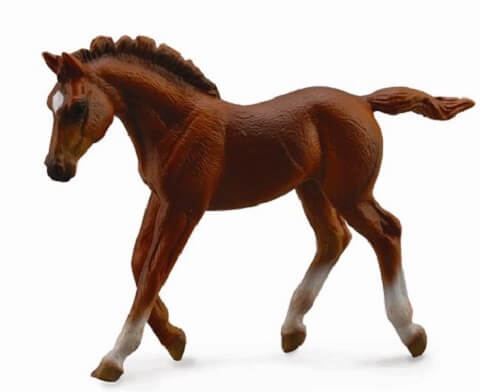 Collecta Thoroughbred Walking Foal
