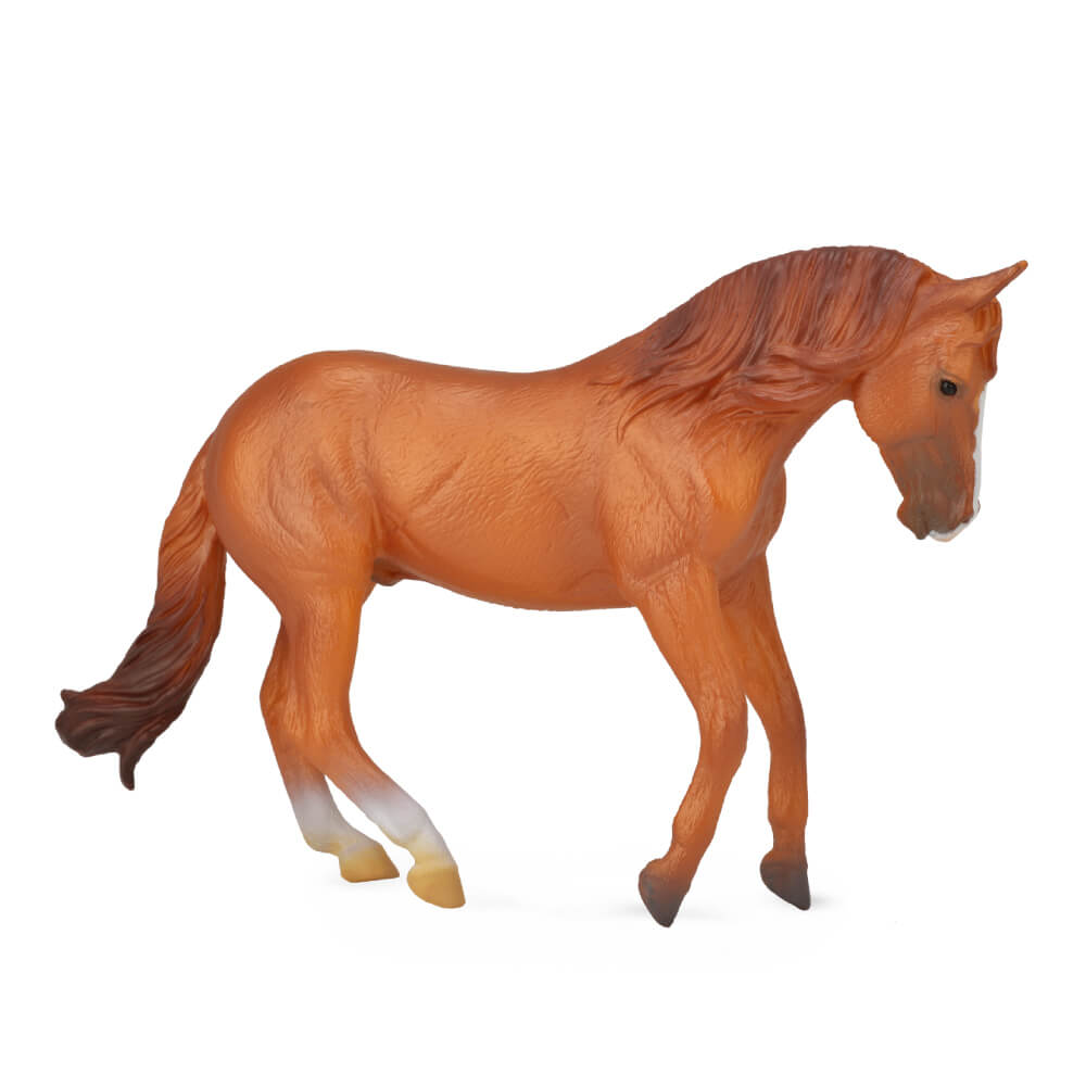 Collecta Australian Stock Horse Stallion. A hand-painted Collecta figurine of an Australian Stock Horse Stallion with realistic details and a brown coat.