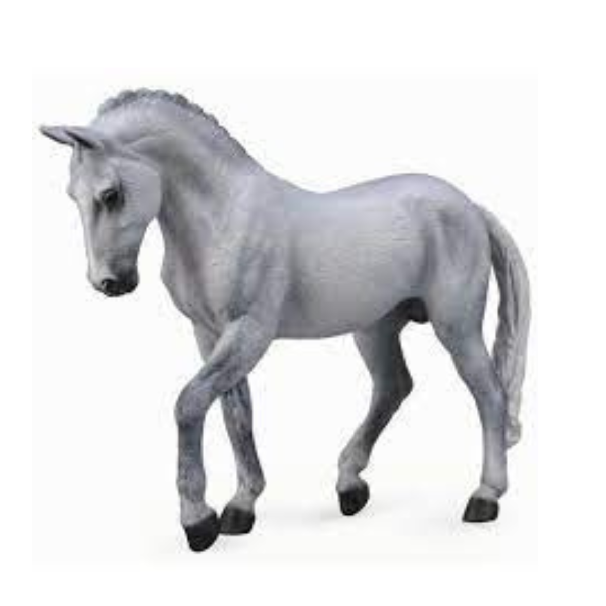 Collecta Trakehner Grey Stallion. Gray horse figurine on a white background