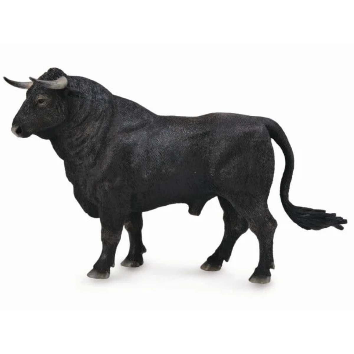Collecta Spanish Fighting Bull. Black bull figurine on a white background