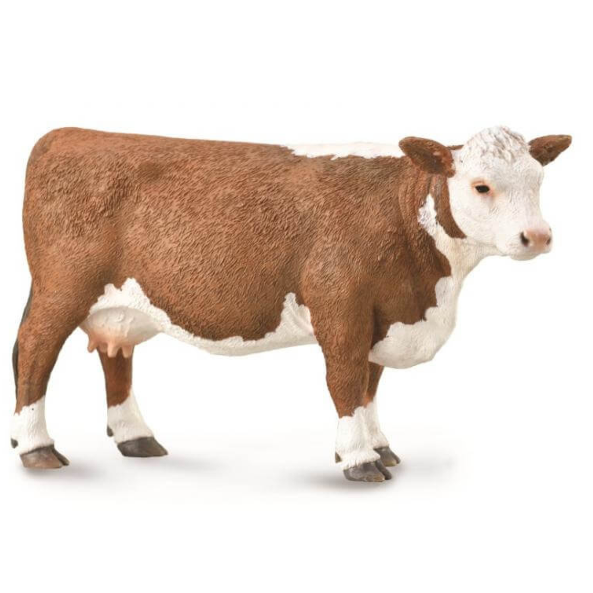 Collecta Hereford Cow. Model of a brown and white cow on a white background