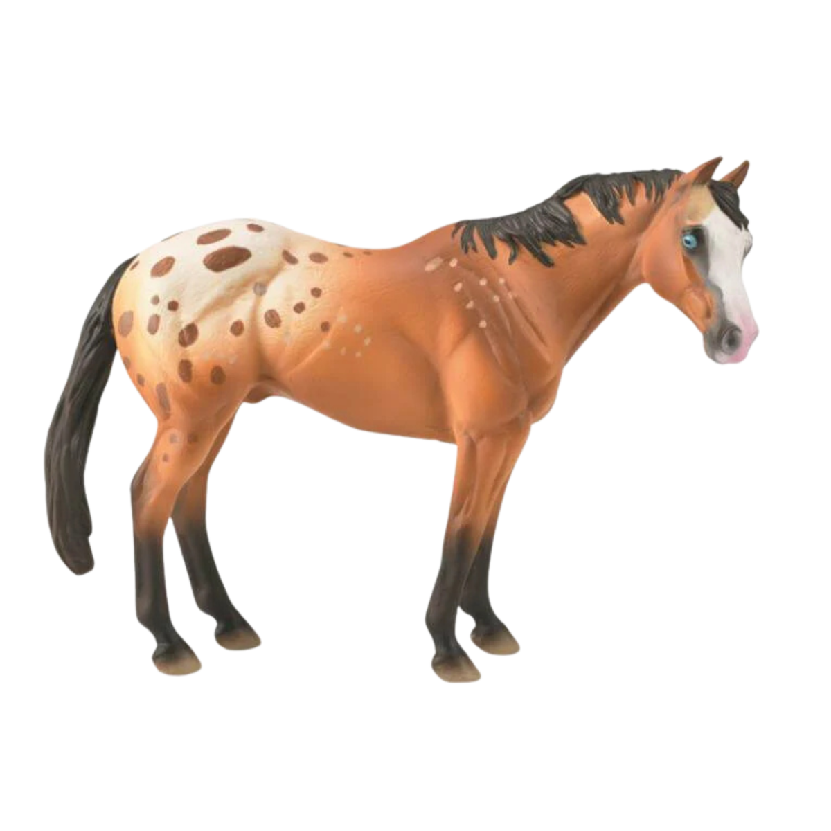 Collecta Appaloosa Stallion. Model horse with brown coat, white face, and black mane on a white background