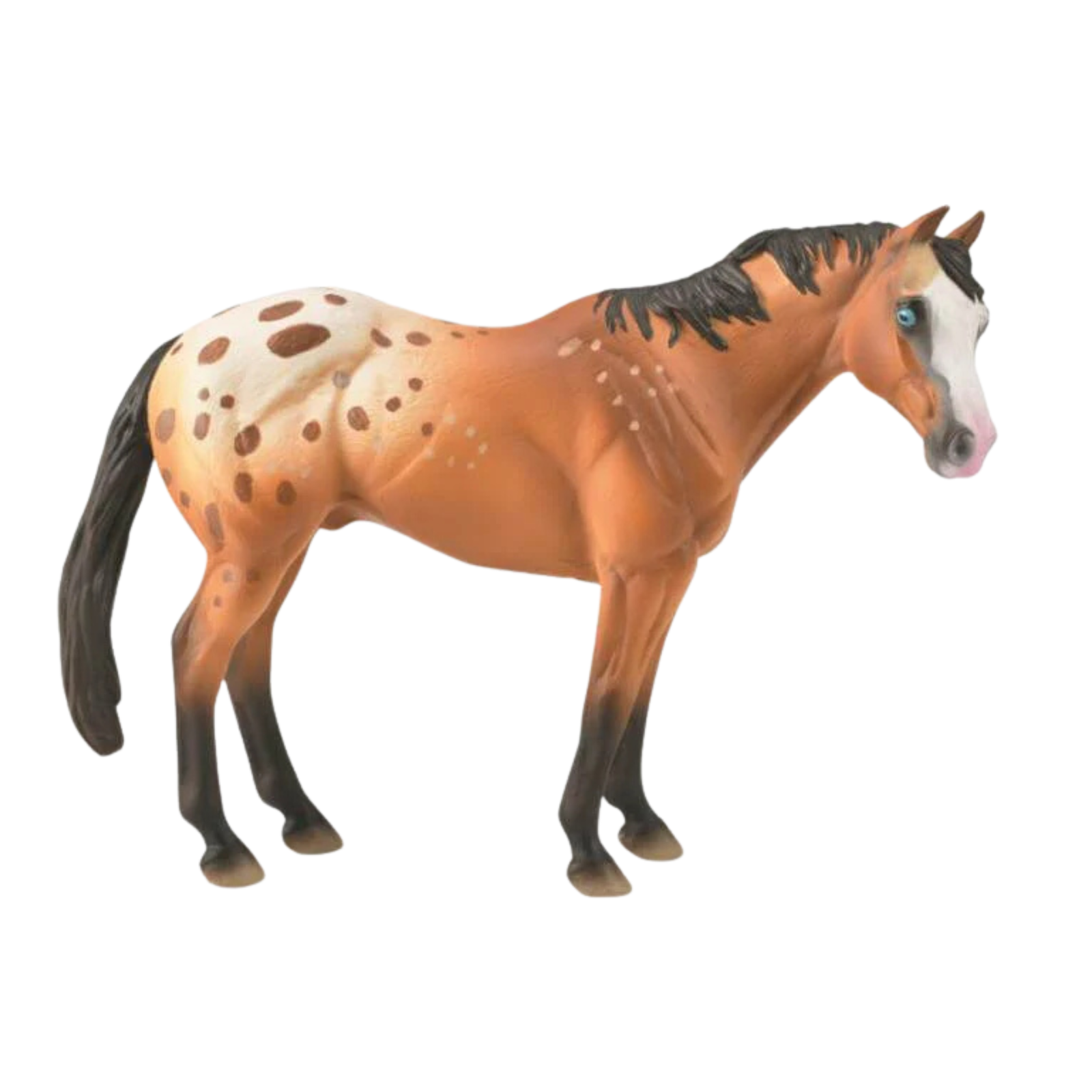 Collecta Appaloosa Stallion. Model horse with brown coat, white face, and black mane on a white background