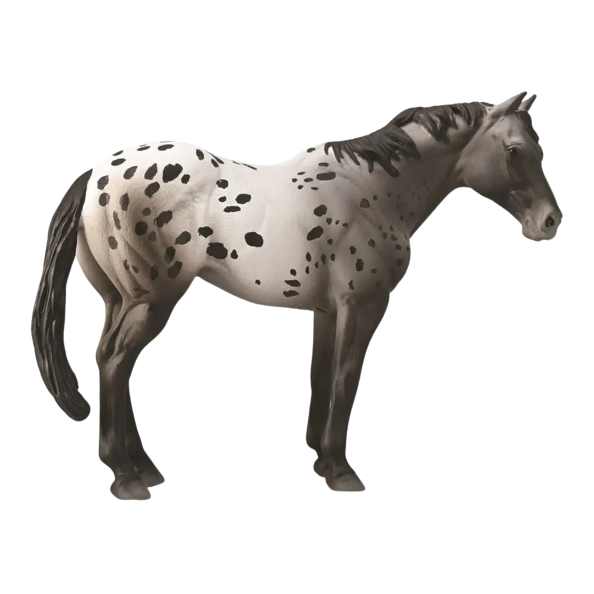 Collecta Appaloosa Blue Roan