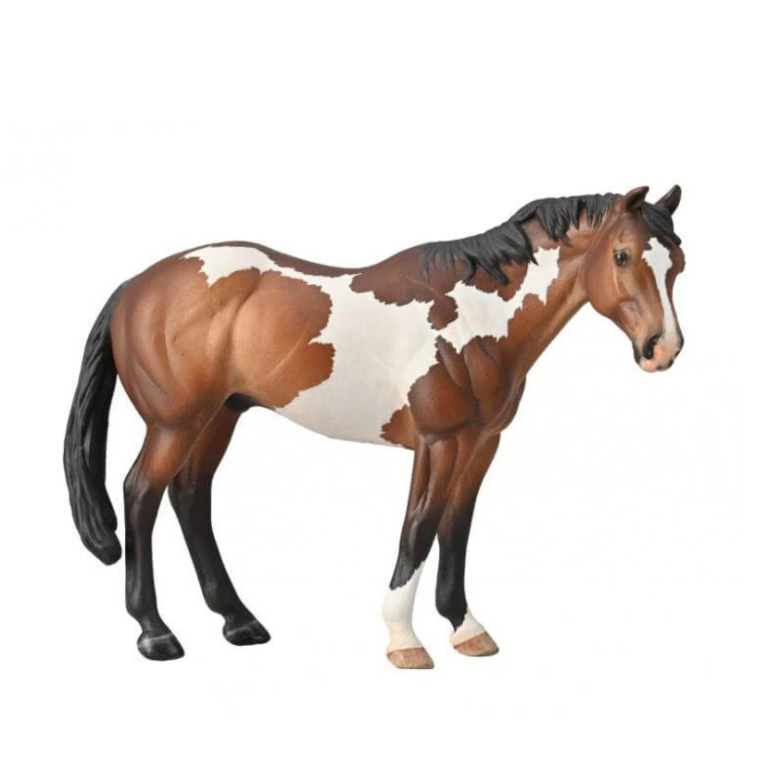 Collecta Appaloosa Stallion Bay Overo Paint. Model horse with brown, white, and black coat on a white background