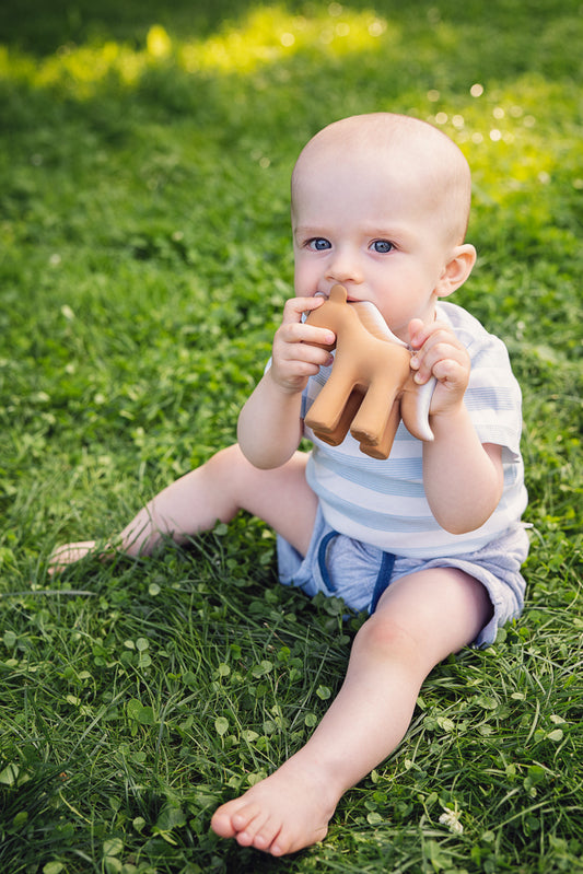 Kaleidoscope Rubber Horse Farm Animal. Brown horse-shaped object on a white background