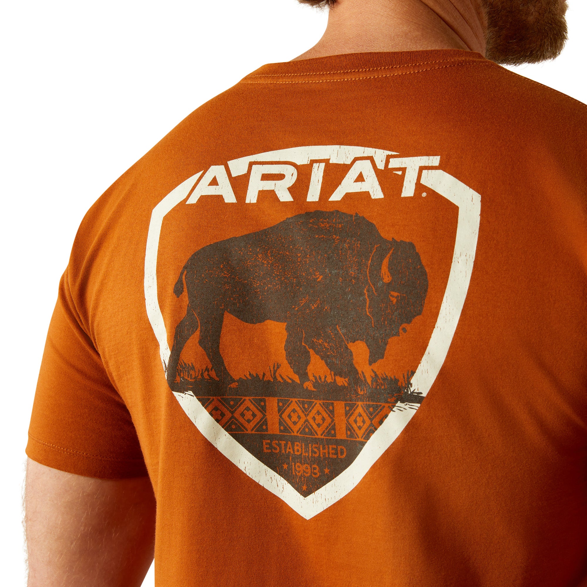 Ariat Men's Buffalo West T-Shirt