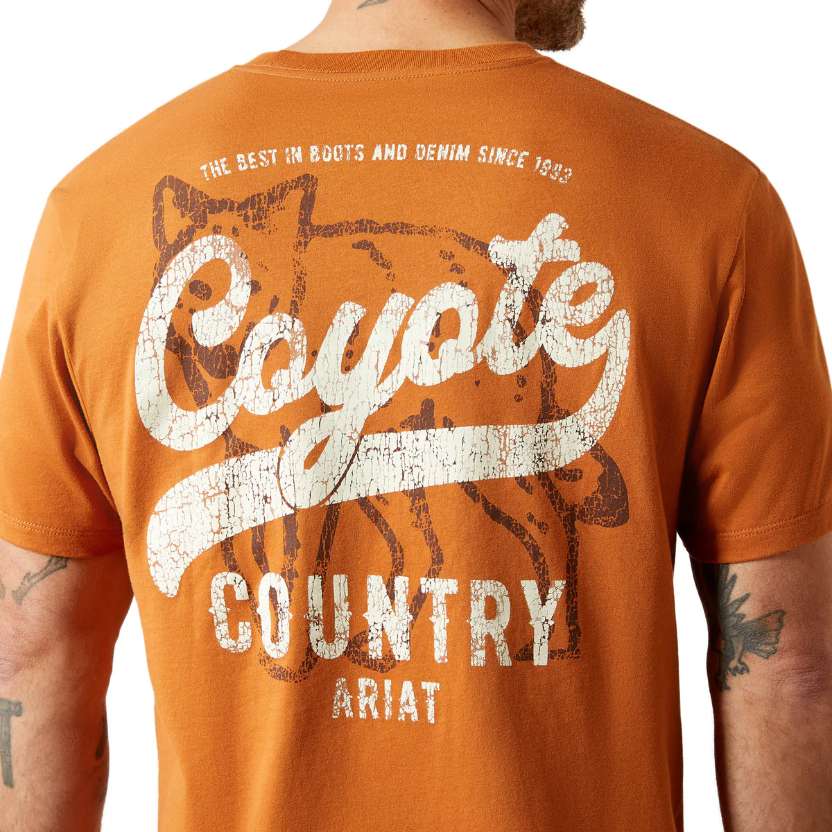 Orange t-shirt with 'Coyote Country' and 'Ariat' branding on a white background