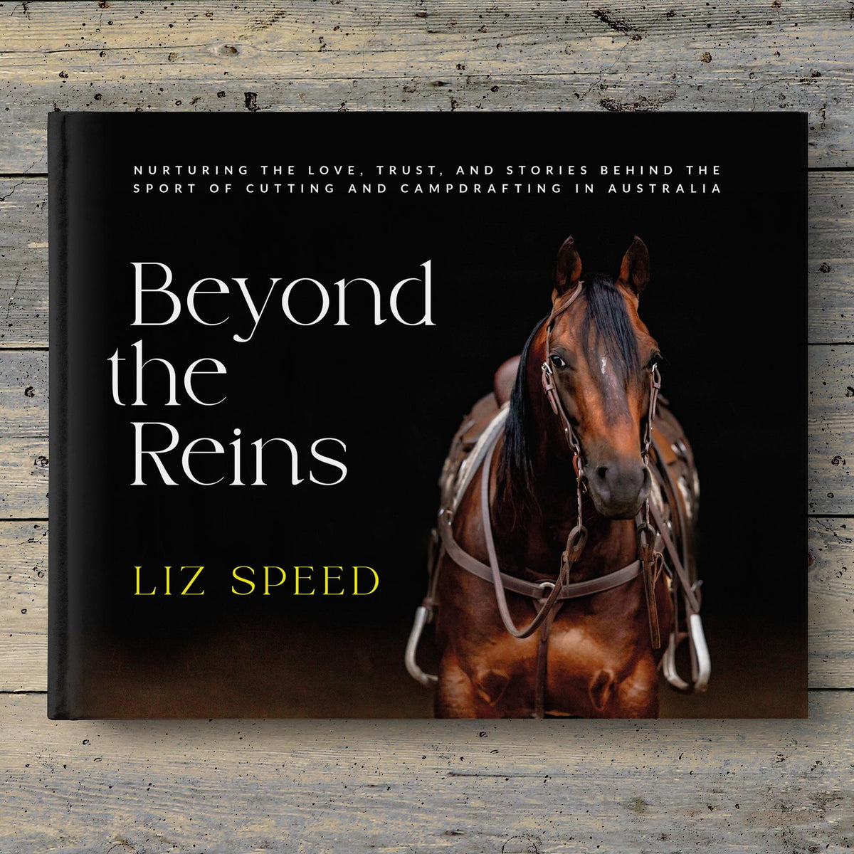 Beyond The Reins Book- By Liz Speed. Book titled &#39;Beyond the Reins&#39; by Liz Speed featuring a horse on the cover against a dark background.