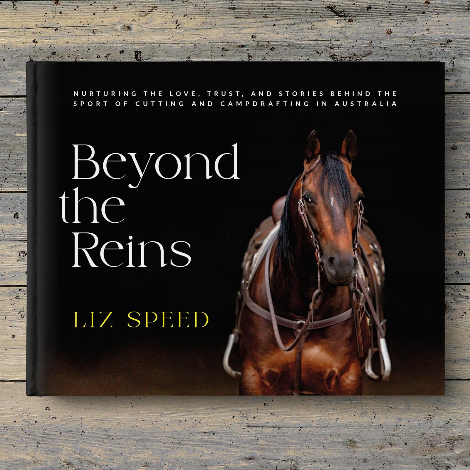 Beyond The Reins Book- By Liz Speed. Book titled 'Beyond the Reins' by Liz Speed featuring a horse on the cover against a dark background.