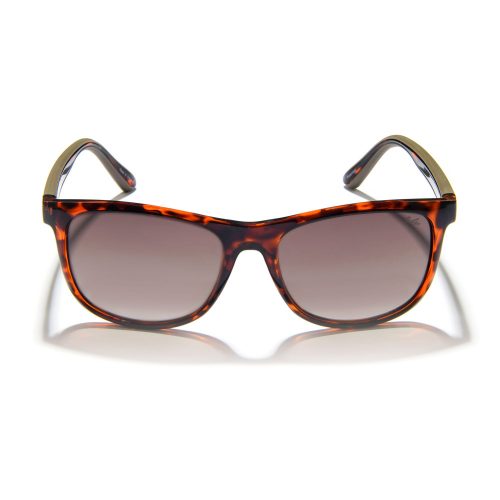 Gidgee Eyes Fender Amber Tort Sunglasses. A pair of Gidgee Eyes Fender Amber Tort Sunglasses with an amber tortoise shell pattern frame and polarized lenses.