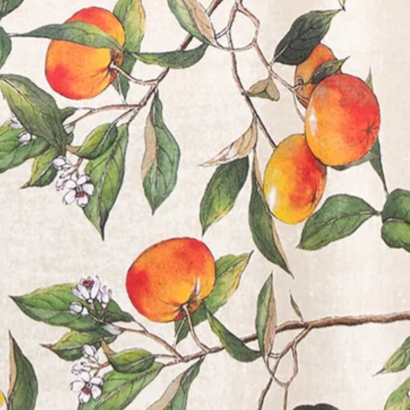 Pattern of peaches and leaves on a beige background