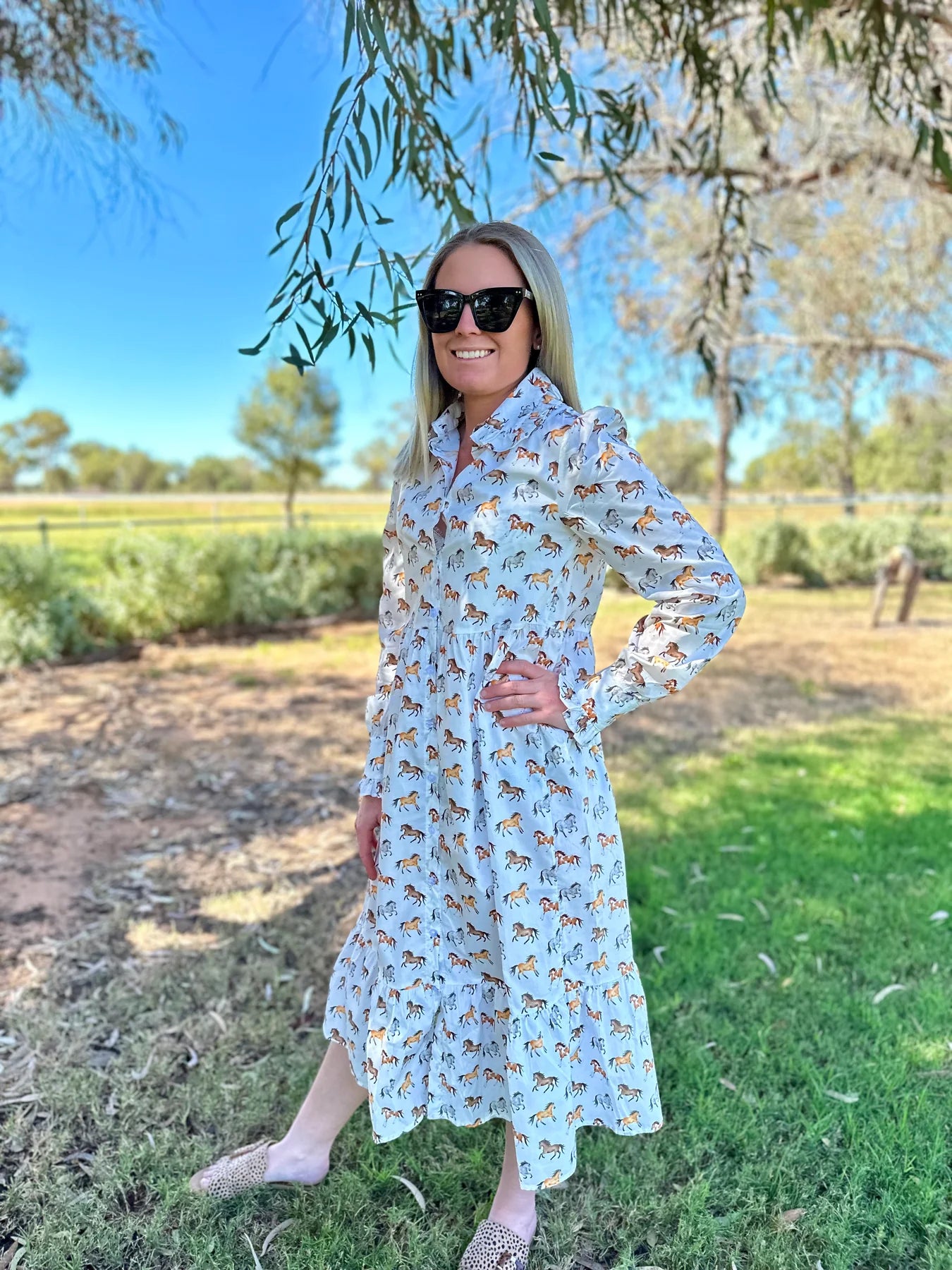 Black Colt Women's Horse Dress