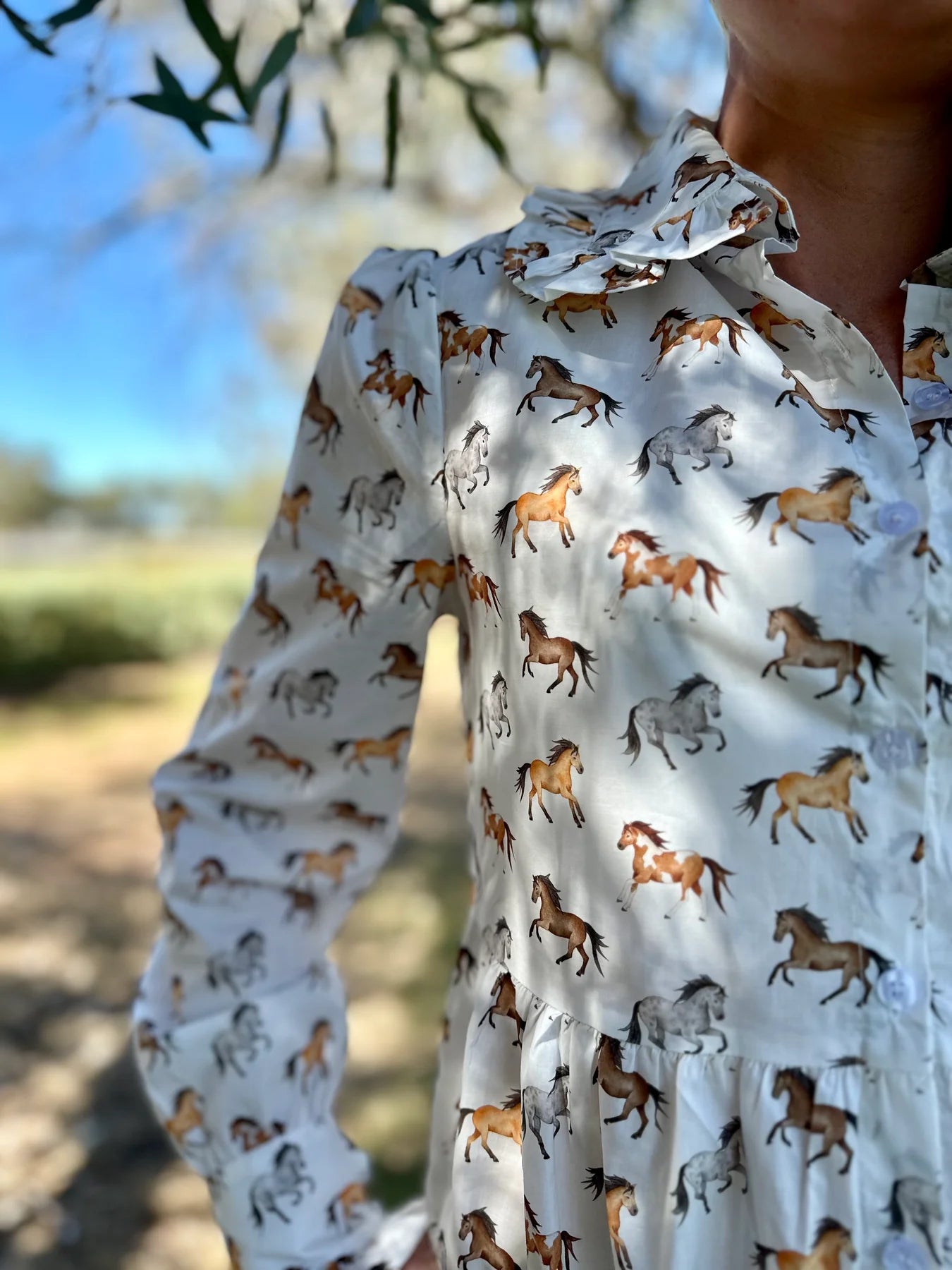 Black Colt Women's Horse Dress