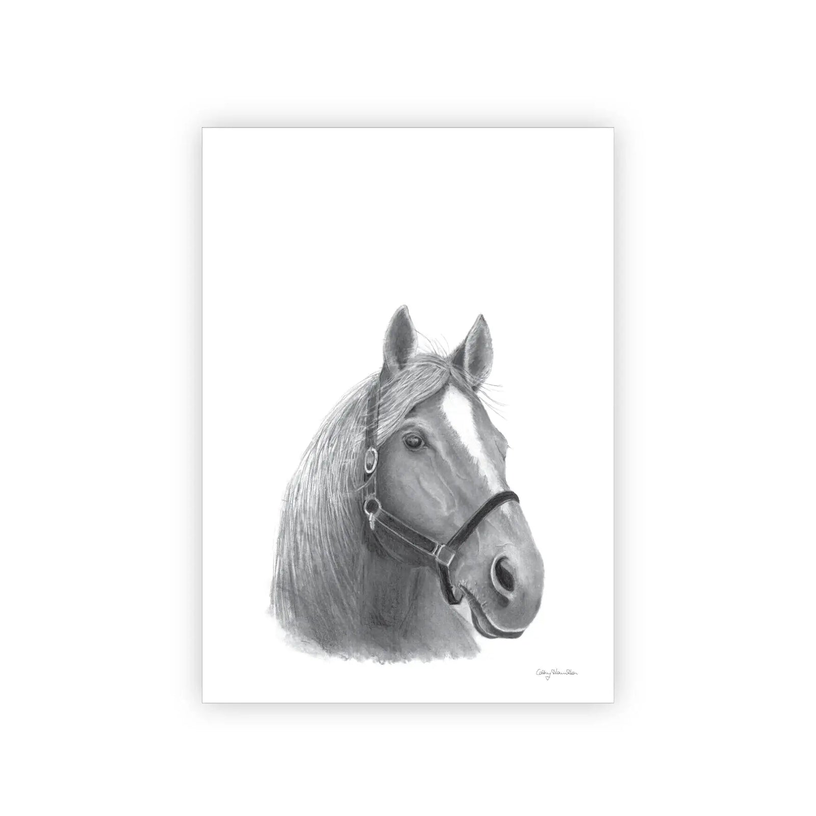 Horse Linen Tea Towel. A white linen tea towel with a central pencil-drawn illustration of a horse's head.