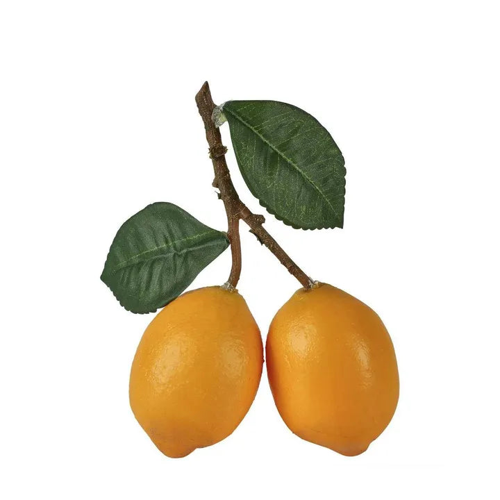 Lemon On Branch. Two yellow fruits on a branch with green leaves against a white background