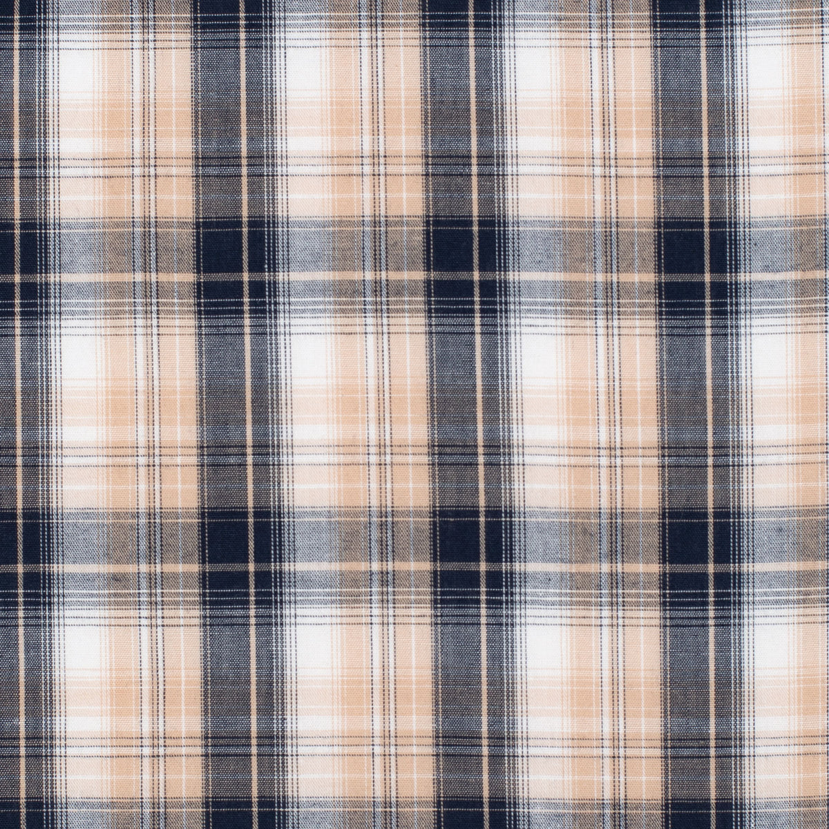 Plaid fabric pattern with blue and beige colors