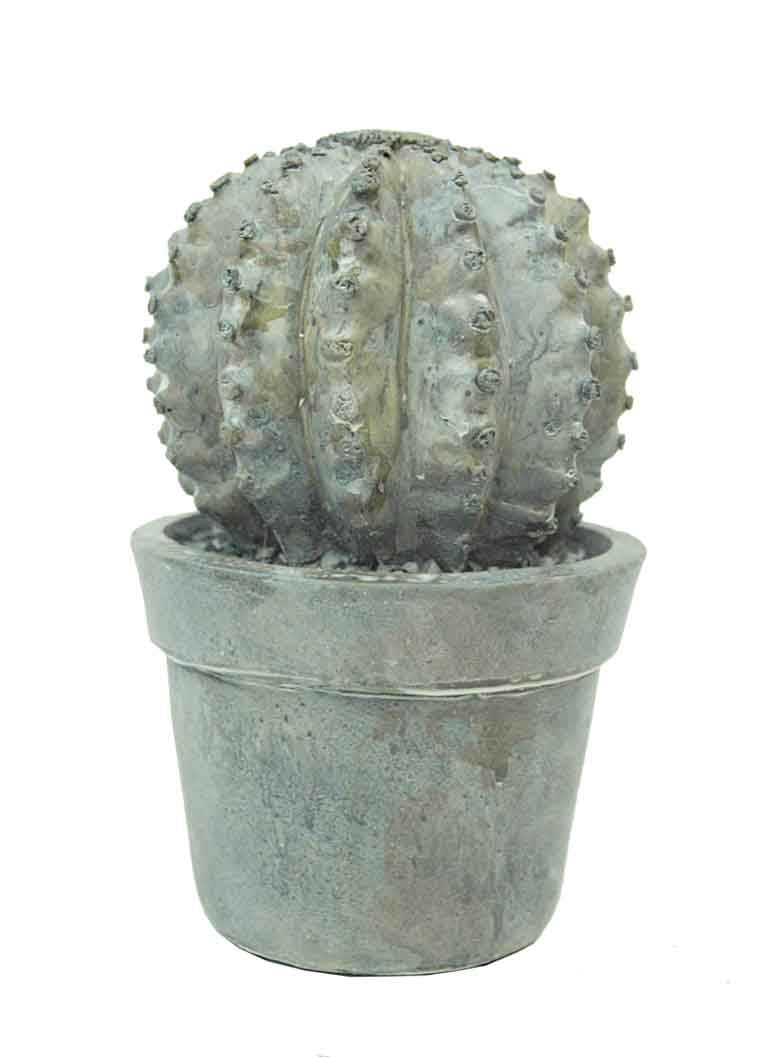 16.5cm Poly Cactus