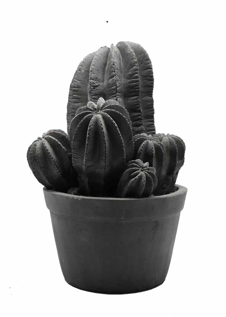 30.5cm Poly Cactus