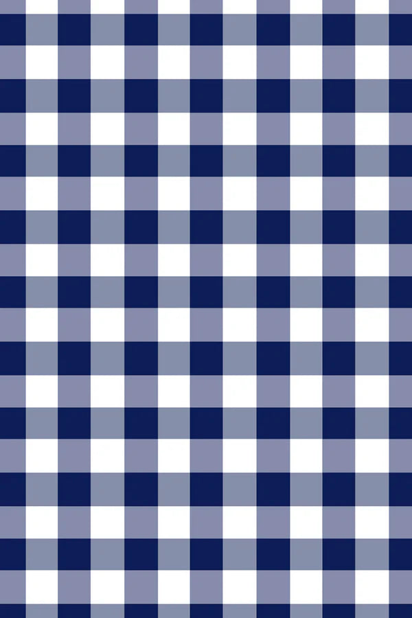 Milky Gingham Dress. Blue and white checkered pattern