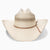 Resistol Wildfire 10X Straw Cowboy Hat