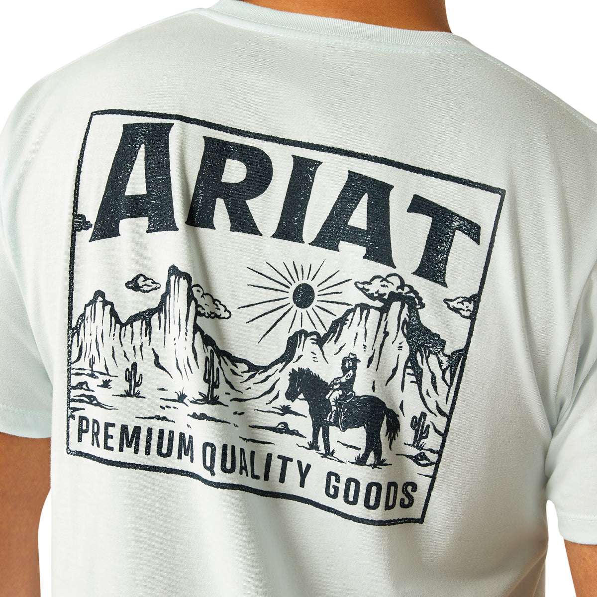 Ariat Men's Echo Valley T-Shirt. White t-shirt with Ariat logo and desert scene on the back