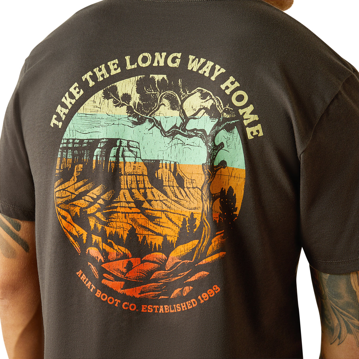 Ariat Men's Take the Long Way T-Shirt. T-shirt with 'Take the Long Way Home' graphic and canyon design on the back, Ariat Boot Co. branding visible.