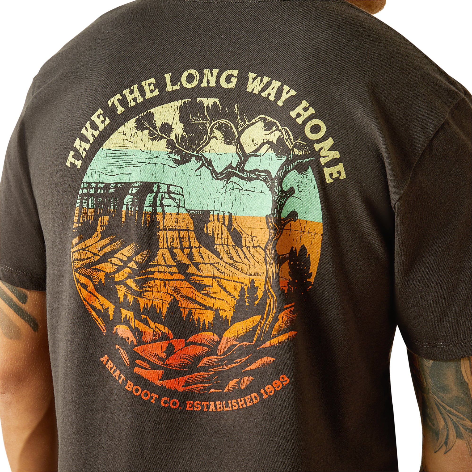 Ariat Men's Take the Long Way T-Shirt. T-shirt with 'Take the Long Way Home' graphic and canyon design on the back, Ariat Boot Co. branding visible.