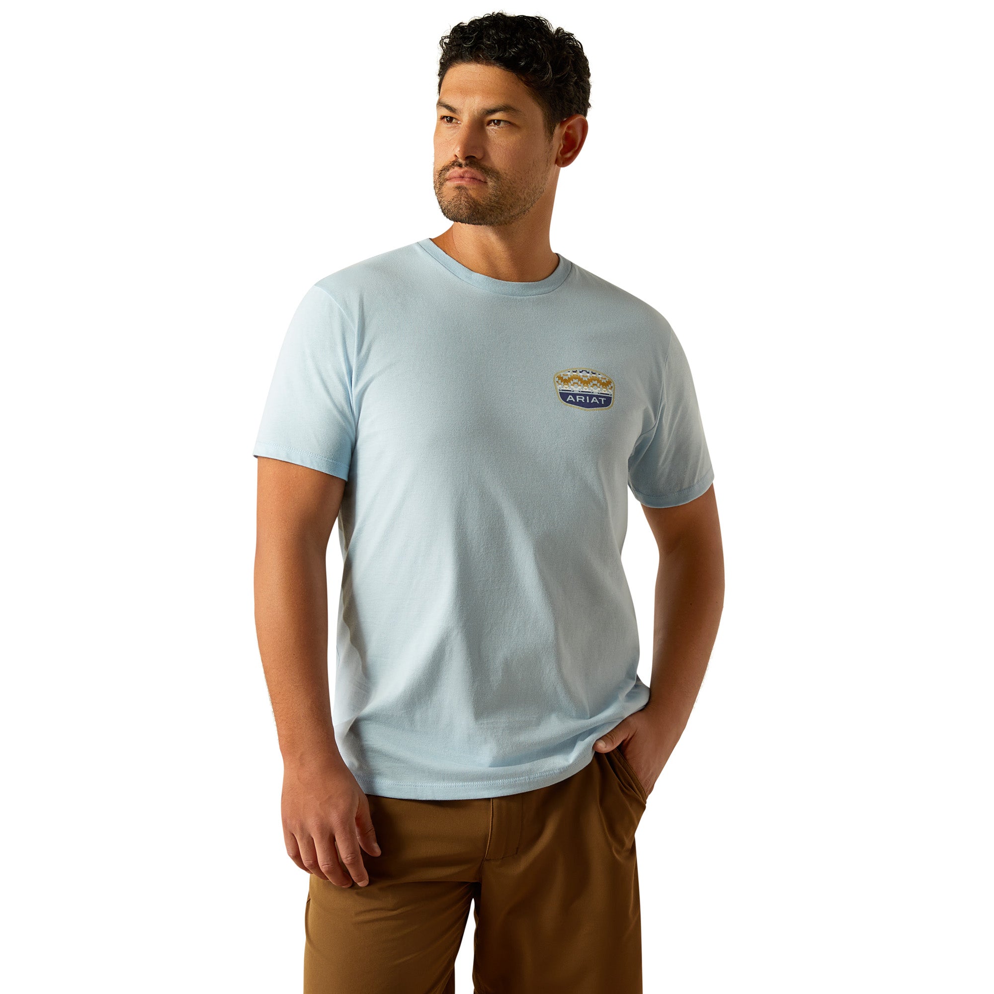 Ariat Men's Ogden Valley Badge T-Shirt. Person wearing a light blue t-shirt with Ariat logo on the back