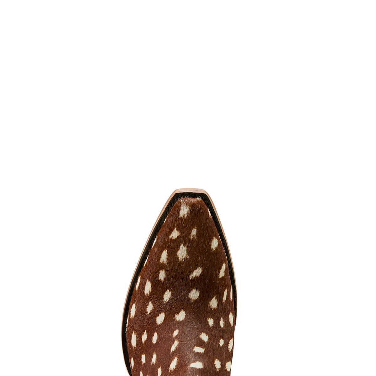 Ariat Dixon Western Bootie. Close-up of a brown cowhide boot tip on a white background.