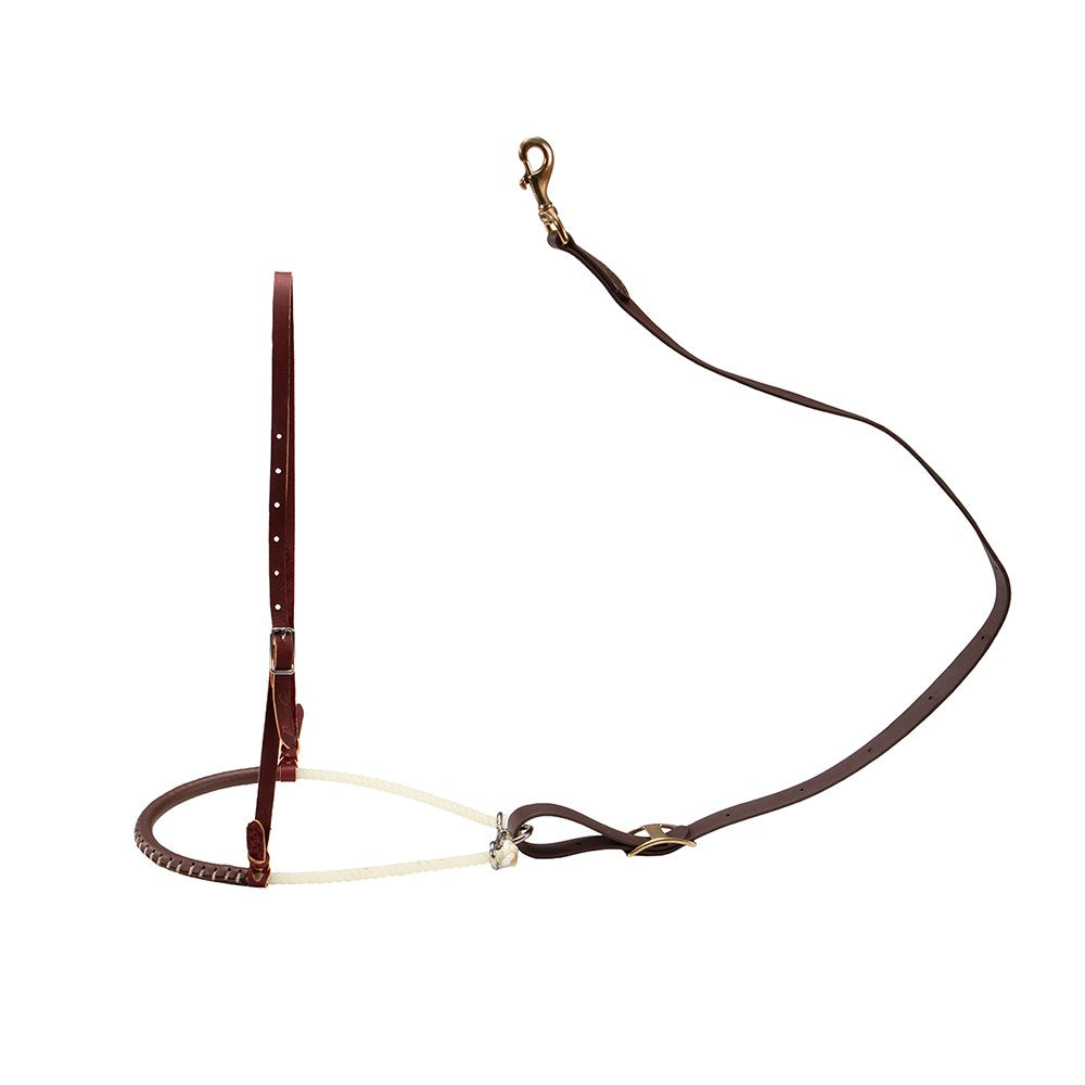 Professional's Choice Laced Tie Down Set