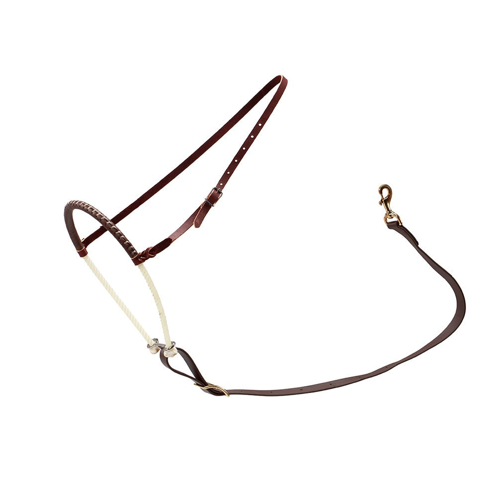Professional's Choice Laced Tie Down Set