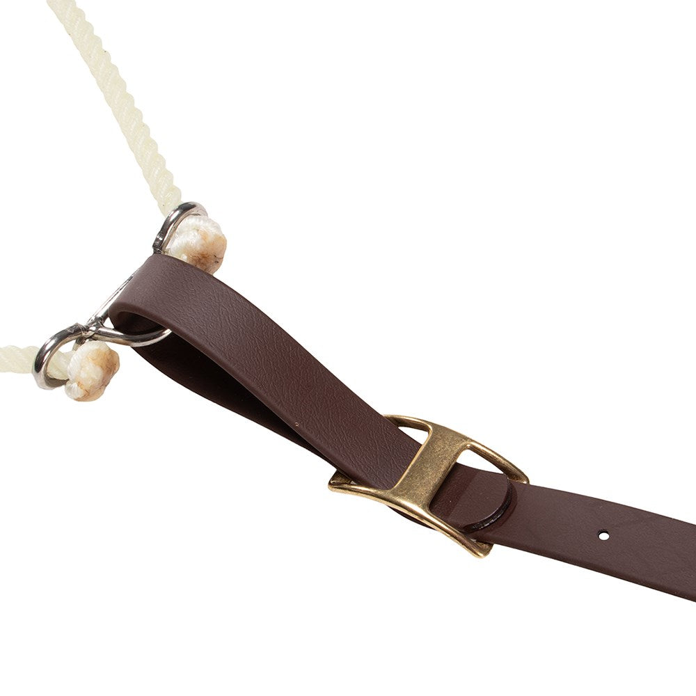 Professional's Choice Laced Tie Down Set