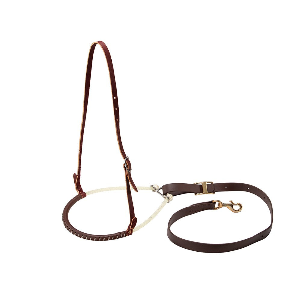 Professional's Choice Laced Tie Down Set