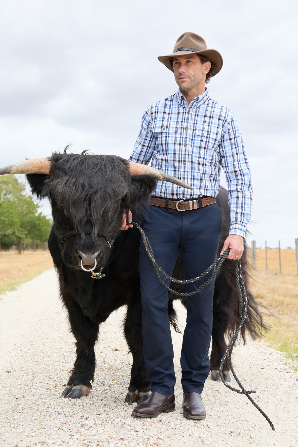 A man wearing a brown cowboy hat, a blue and white plaid button-down shirt, and navy pants stands on a gravel path next to a large black long-horned animal, holding a rope lead.