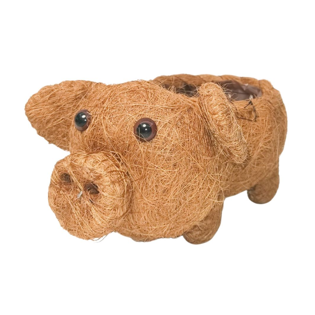 Urban Products 15cm Husk Pig Planter