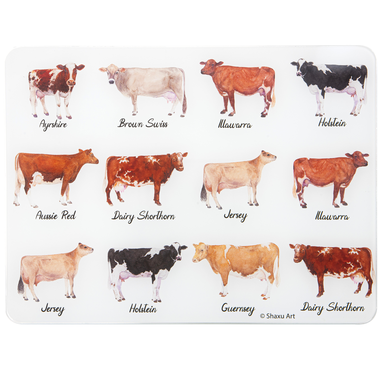 Placemat with images of different cow breeds and their names.