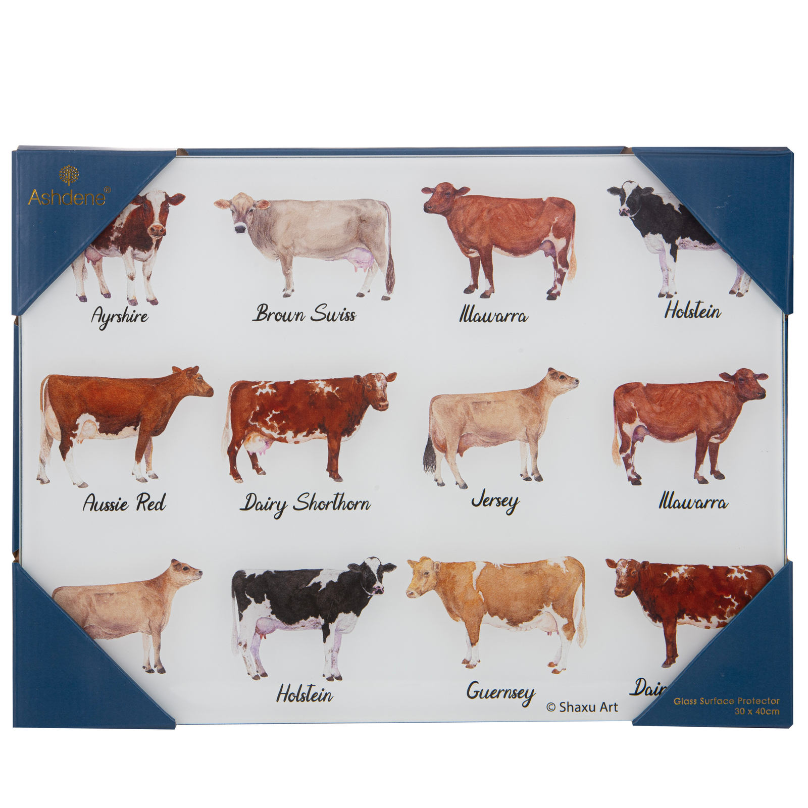 Placemat with images of different cow breeds and their names.