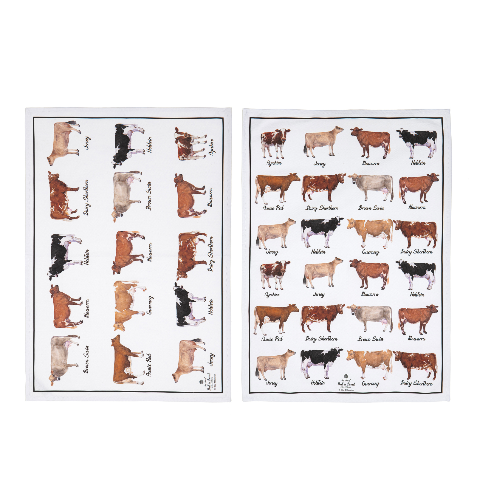 Two tea towels with illustrations of cows on a white background