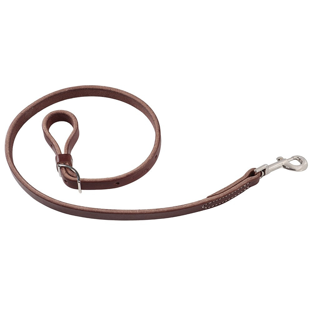 Weaver Horizons Collection Tie Down Strap-Golden Brown