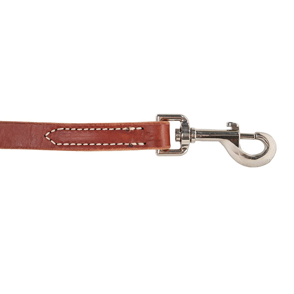 Weaver Horizons Collection Tie Down Strap- Sunset Tan
