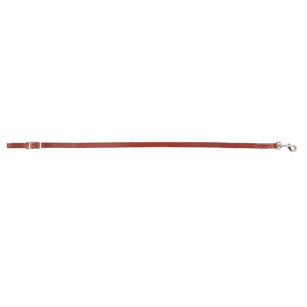 Weaver Horizons Collection Tie Down Strap- Sunset Tan