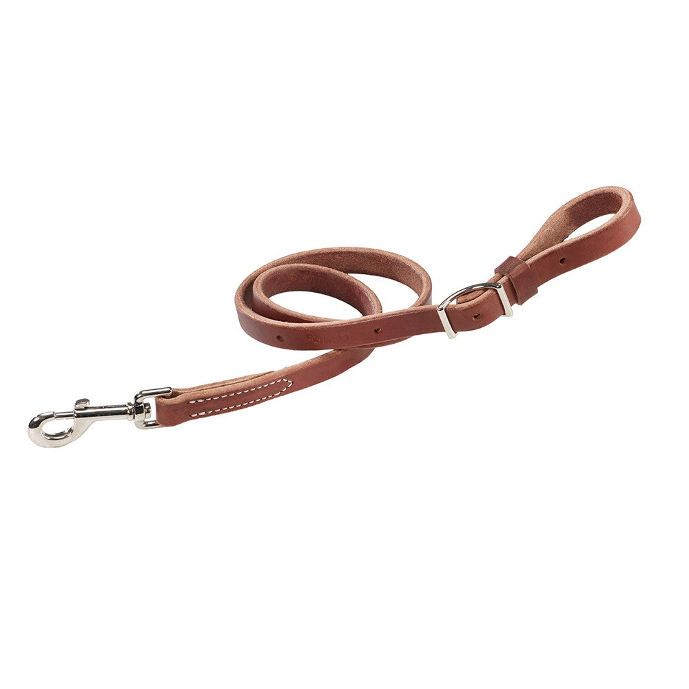 Weaver Horizons Collection Tie Down Strap- Sunset Tan