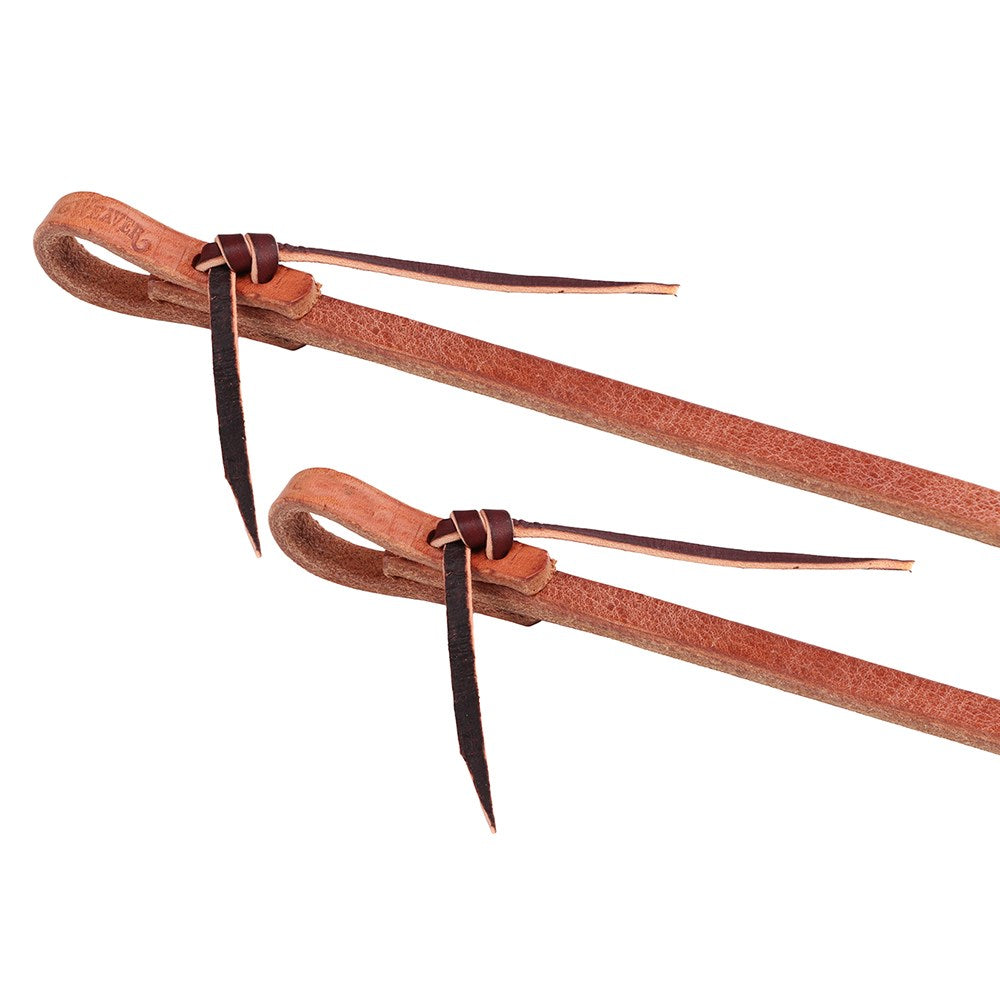 Two brown leather strap accessories with dark brown ties and metal tips, shown on a plain white background.