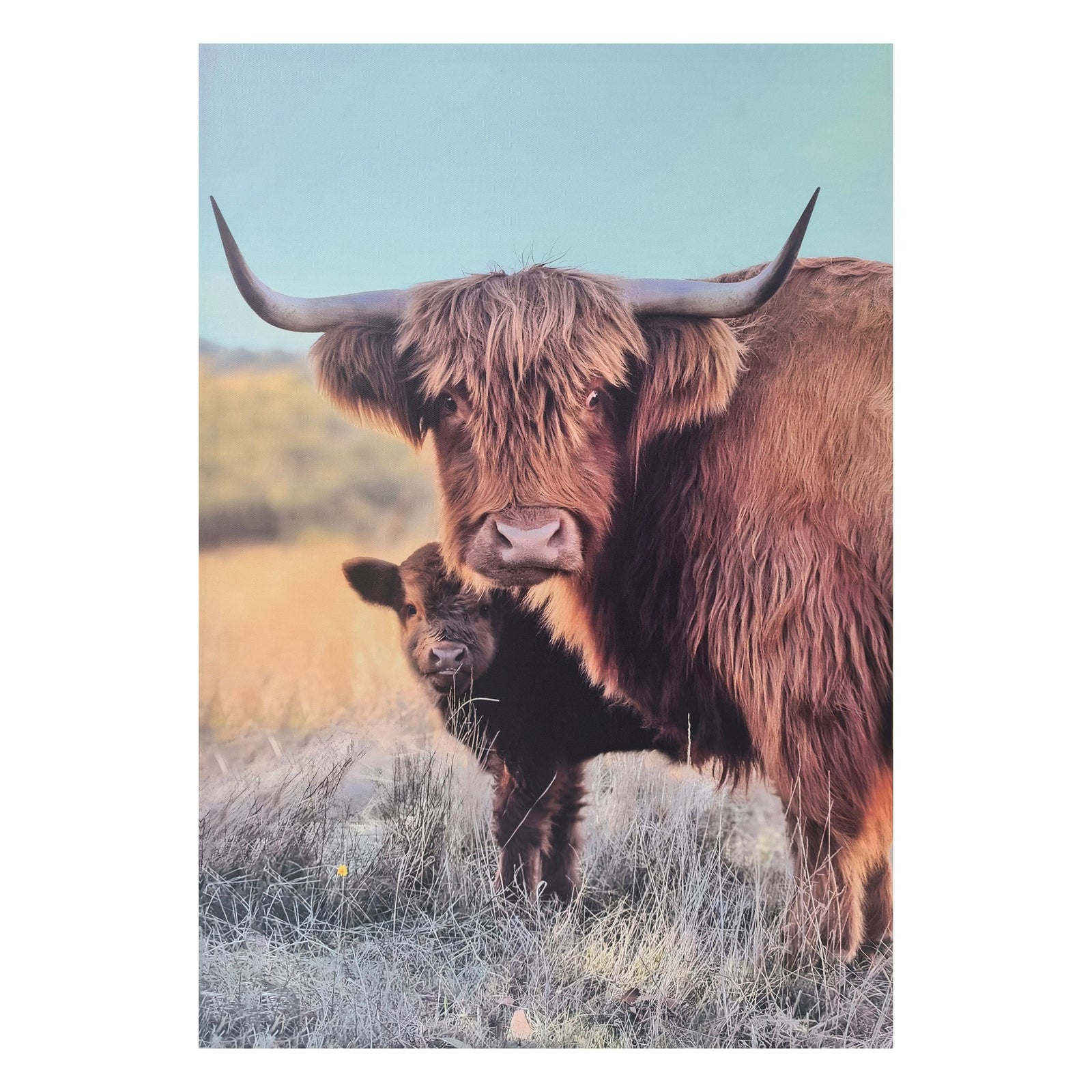 A vertical photographic print showing a large brown Highland cow with long curved horns standing in dry grass beside a small black calf, set against a pale blue sky.