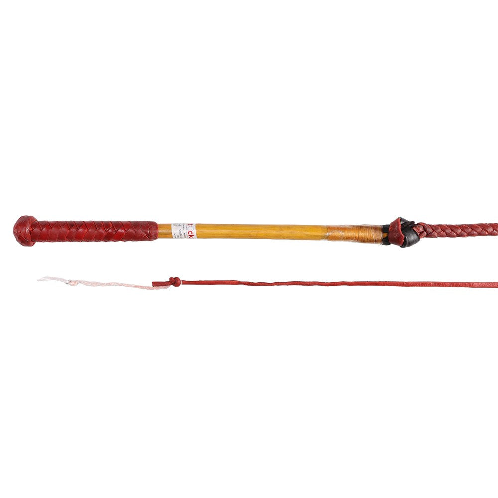 Stockmaster Redhide Stockwhip - 5' x 6 Plait. Red whip with a wooden handle on a white background