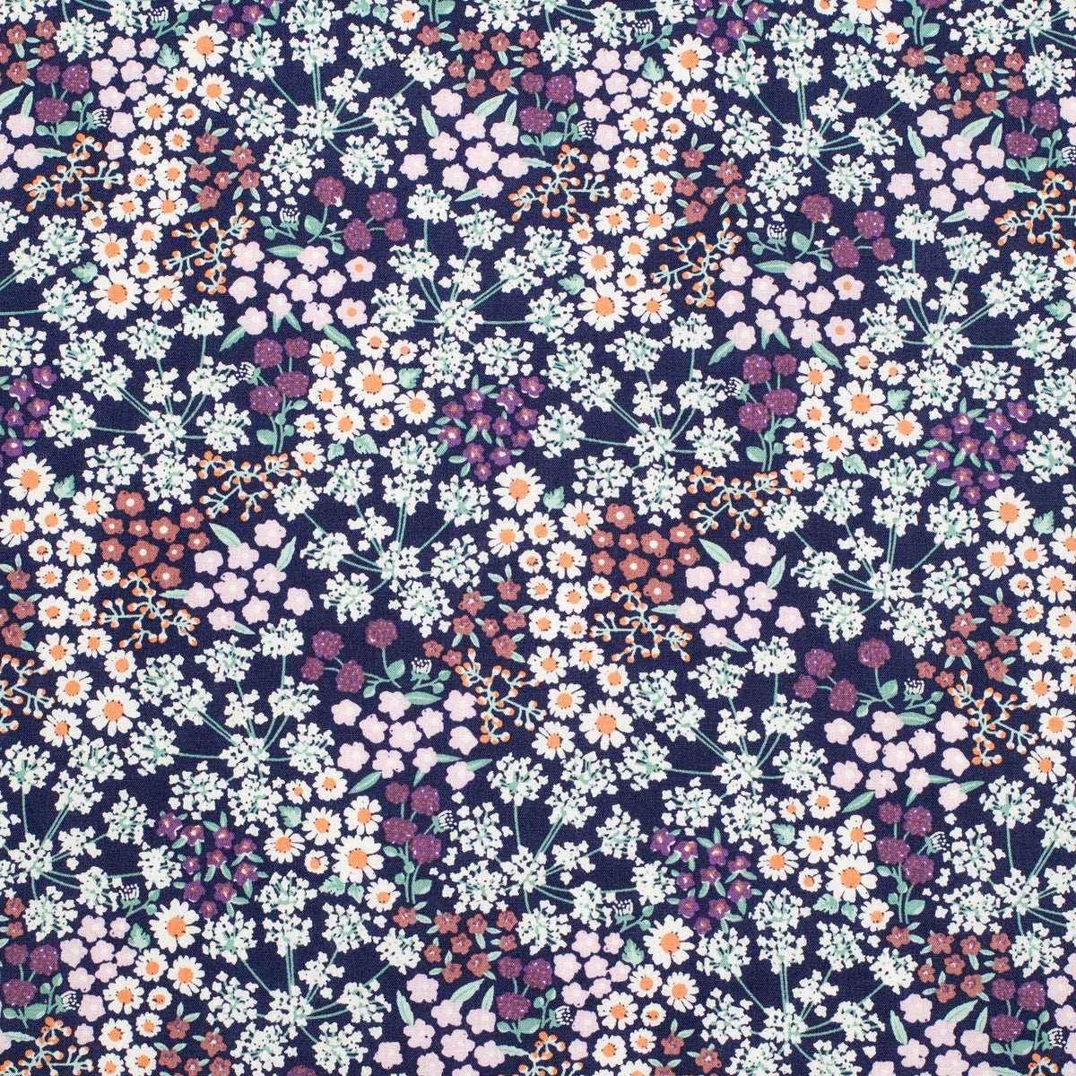 Just Country Women's Georgie Half Button L/S Shirt